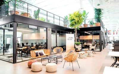 LOOM, la magia de los espacios de trabajo flexibles